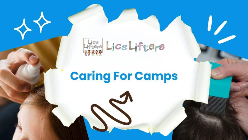 Lice Removal Services for Camps & Schools in El Paso County