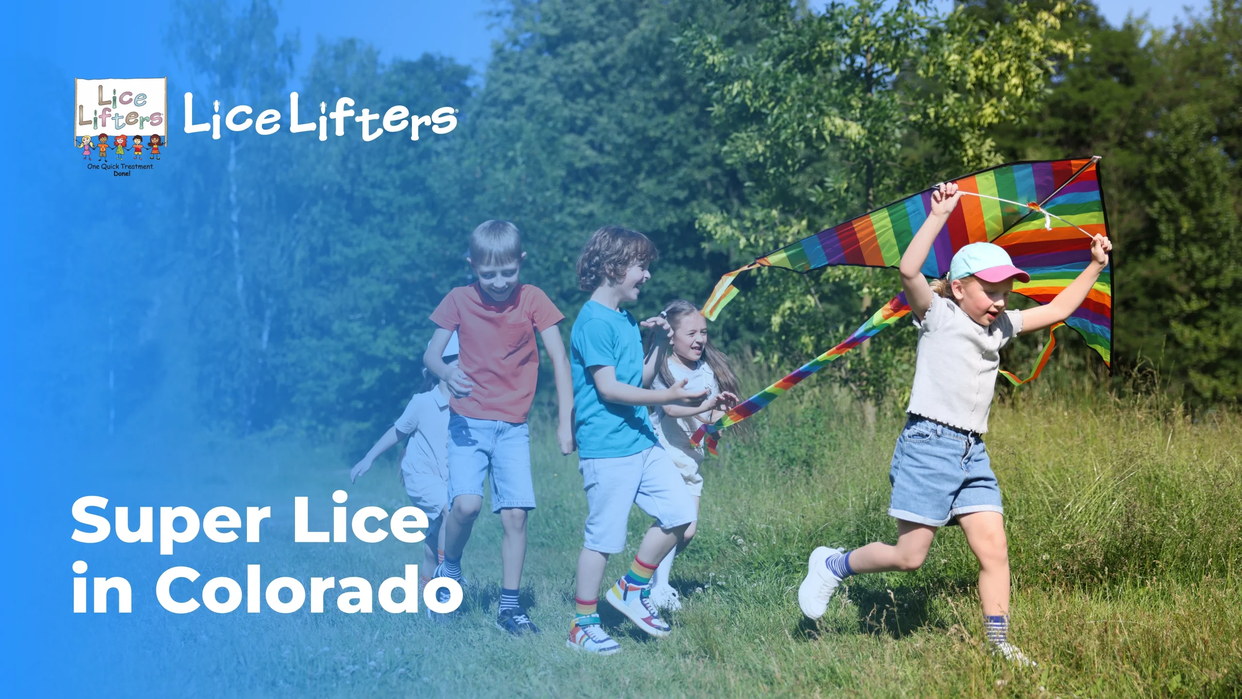 Super Lice in Colorado: Why Lice Are Harder to Kill and How to Defeat Them lice lifters super lice colorado kids kite scaled