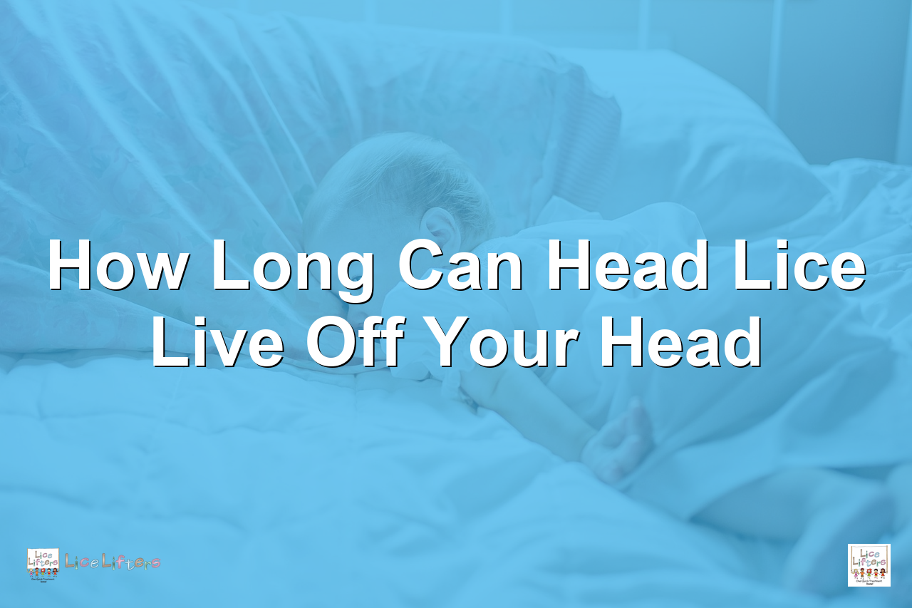Parent checking child's hair for head lice on a couch with pillows and blankets in the background
